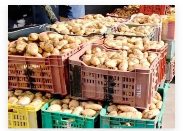 يسبب البطاطا:فلاحون يحتجون ويغلقون الطريق 