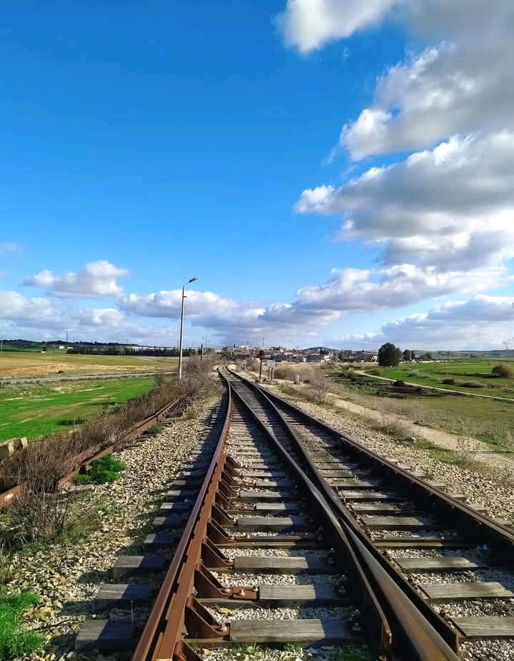 وفاة شاب دهسه القطار