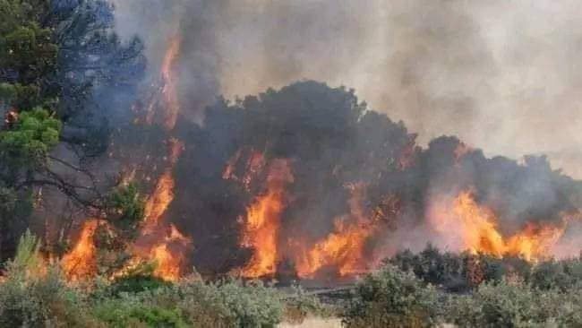 الأمطار تساعد في إخماد حرائق جبل برقو