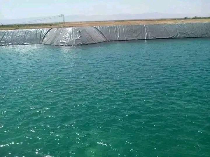 قفصة: هذا ما جاء فى الندوة الصحفية حول ملف استنزاف الثروة المائية
