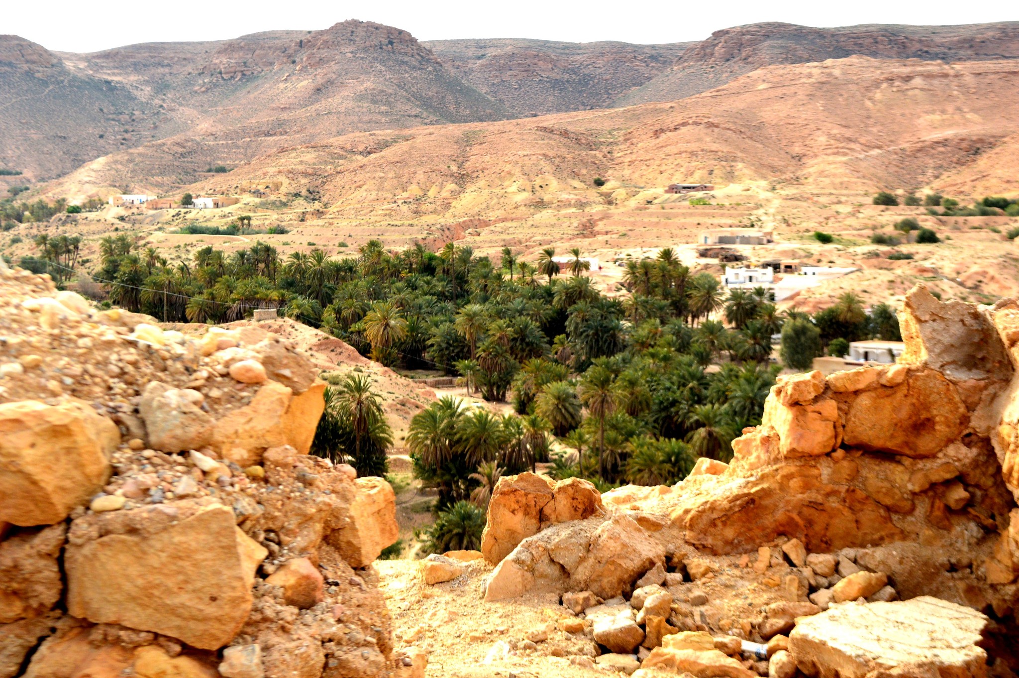 طقس اليوم: الحرارة تناهز 38درجة