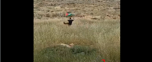 شاهد انفــ....جار مستــ..وطن حاول ازالة العلم الفلسطـ....ــييني