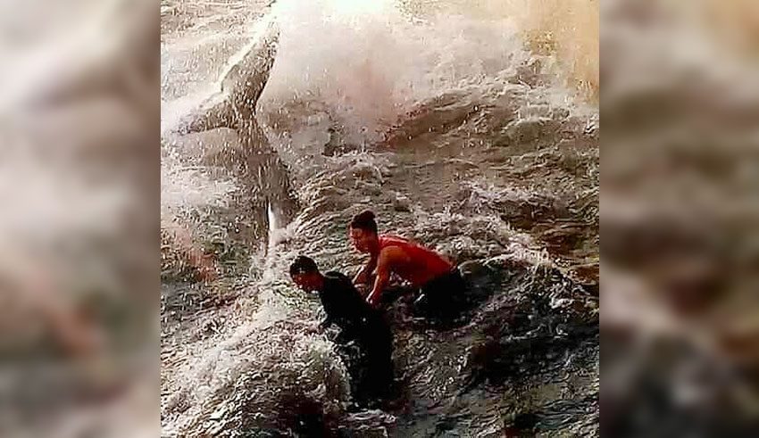 بعد انقاذه من طرف عدد من الشبان في بنزرت : هذا مصير  حوت ''البالان الأزرق " 