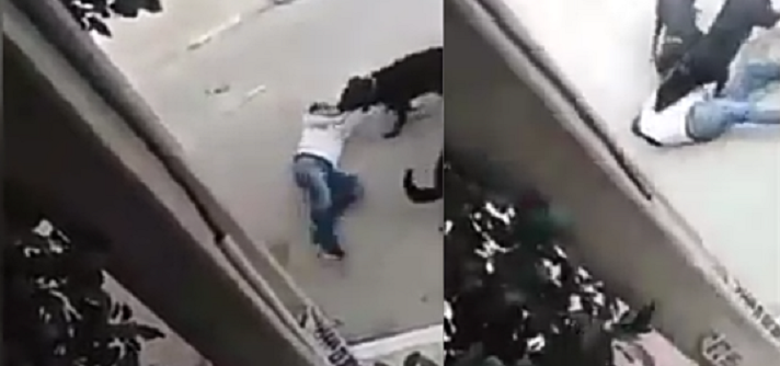 تفاصيل صادمة عن تعرّض مواطن لهجوم من كلبين شرسين .. وهكذا نجا طفليه من موت محقّق !