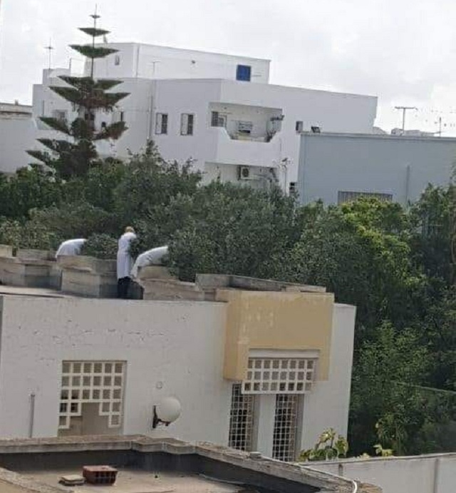 صورة اليوم : ملائكة الرحمة يتركون المرضى ويصعدون إلى السطح " لجمع " الزيتون