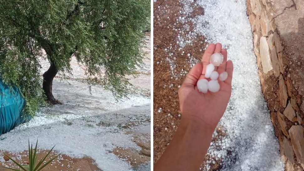 السند:تضرر حوالي 60بالمائة من الغراسات