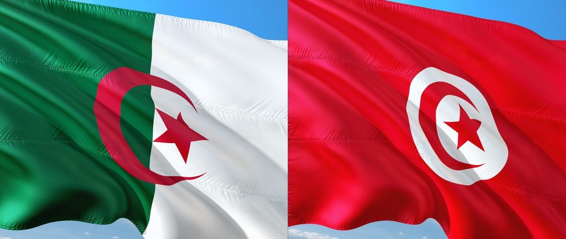 فحوى المكالمة التي جمعت وزير الخارجية بنظيره الجزائري