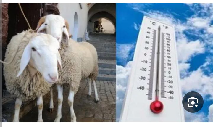 هكذا سيكون الطقس خلال أيام العيد