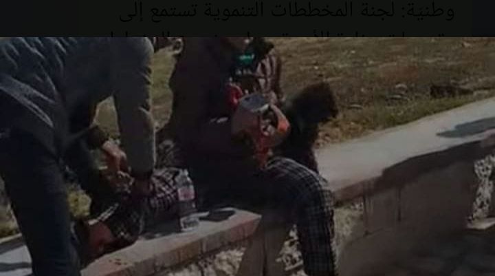 حمام الأنف:إمرأة تتعرض إلى هجوم من الكلاب السائبة على الكورنيش!صورة