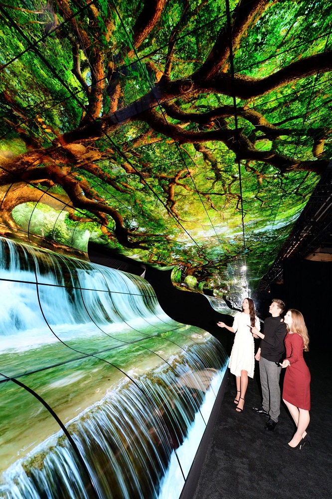 عرض " LG OLED FALLS " بمعرض مدينة " لاس فيغاس " يفوق كل التوقعات