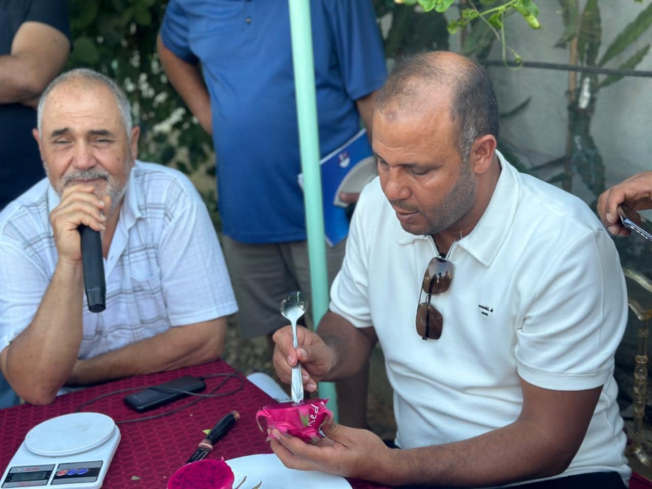 تجربة فريدة في مرناق: قياس سكريات فاكهة التنين
