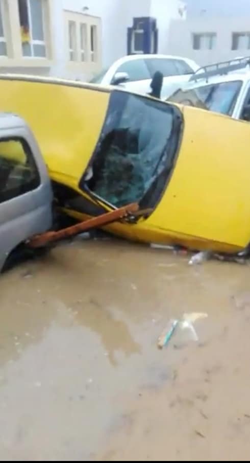 نابل : الأمطار تتسبب في سقوط الأشجار على المنازل بقربص وانهيار أعمدة كهربائية