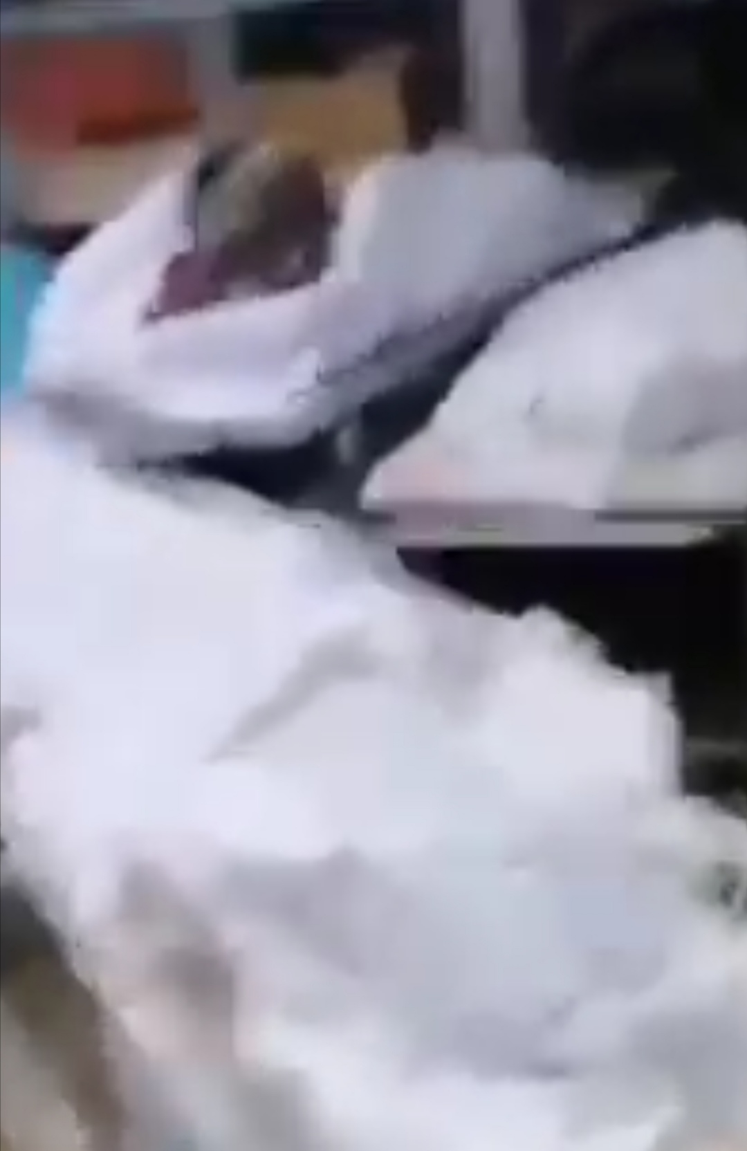 فيديو مريع : جثث الموتى ملقاة في مستشفى شارل نيكول