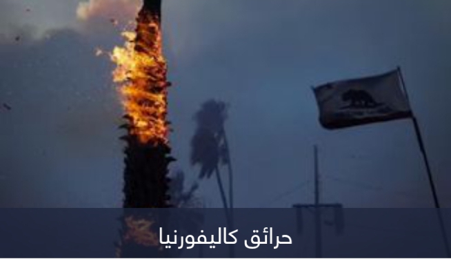 سر الأشجار التي لم تحترق في كاليفورنيا..هجمات حرارية أم مؤامرة؟!