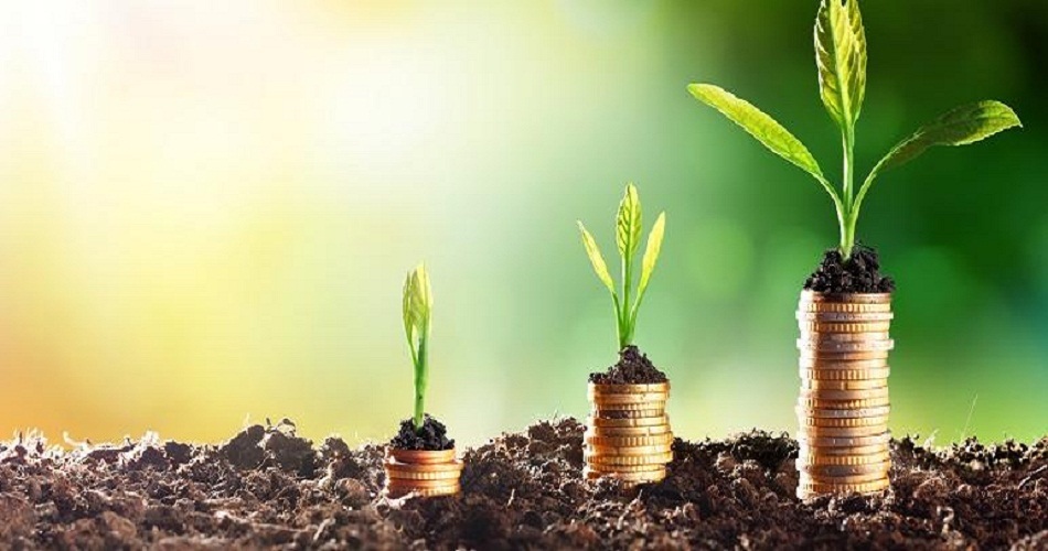 المصادقة على 16 مشروعا فلاحيا بقيمة 39 مليون دينار