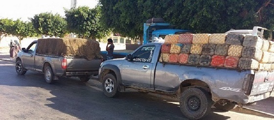 عضو نقابة بالديوانة : مهرّبون نقلوا جثمان الشهيد الدبابي إلى المستشفى !