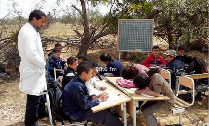 تلاميذ تحت شجرة يدرسون ومسؤولون عن الوعي غائبون !