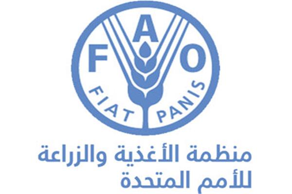 الفاو :اكثر من 52 مليون شخص يعانون من نقص التغذية في الشرق الأدنى وشمال إفريقيا