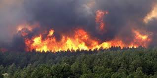 القصرين: الحرئق تمتد إلى جبل الطباقة