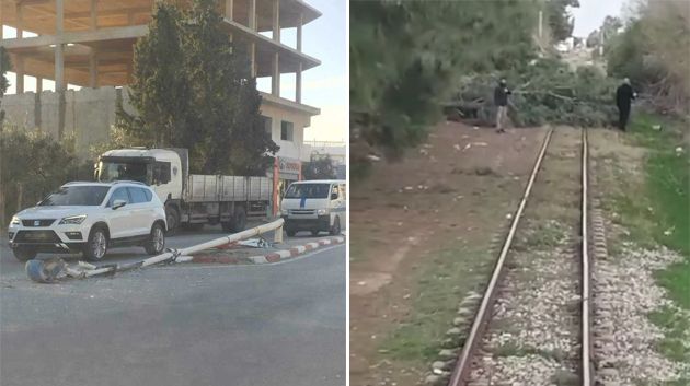 رياح قوية في عدد من الجهات سقوط أشجار واعمدة كهرباء