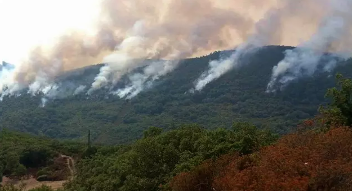 لا خسائر بشرية في حرائق جندوبة