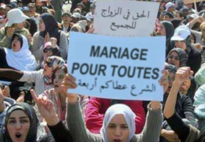 هذا الخميس : وقفة نسائية أمام البرلمان للمطالبة بتعدّد الزّوجات