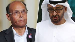 المرزوقي : " محمد بن زايد حاول تدمير الربيع العربي والثورة التونسية " 