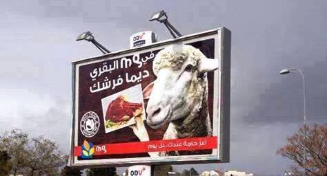 في تونس : لافتة إشهارية للحم البقر باستعمال صورة خروف