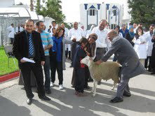 بمناسبة عيد الإضحى : ليوني تتكفل بتوزيع 100 خروف للعمال الأكثر انضباطا