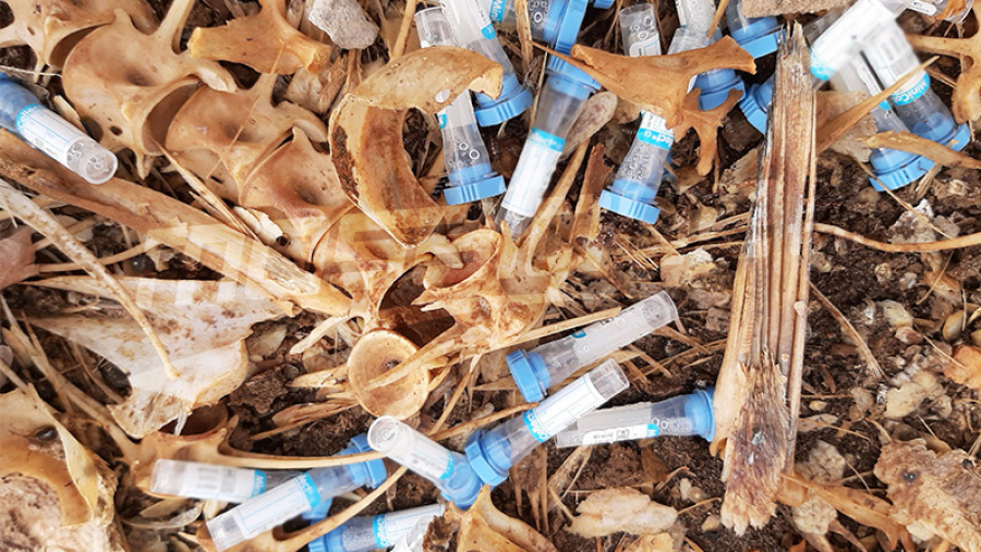 وزارة الصحة: اشكال في التصرف في النفايات الطبية بسبب كورونا