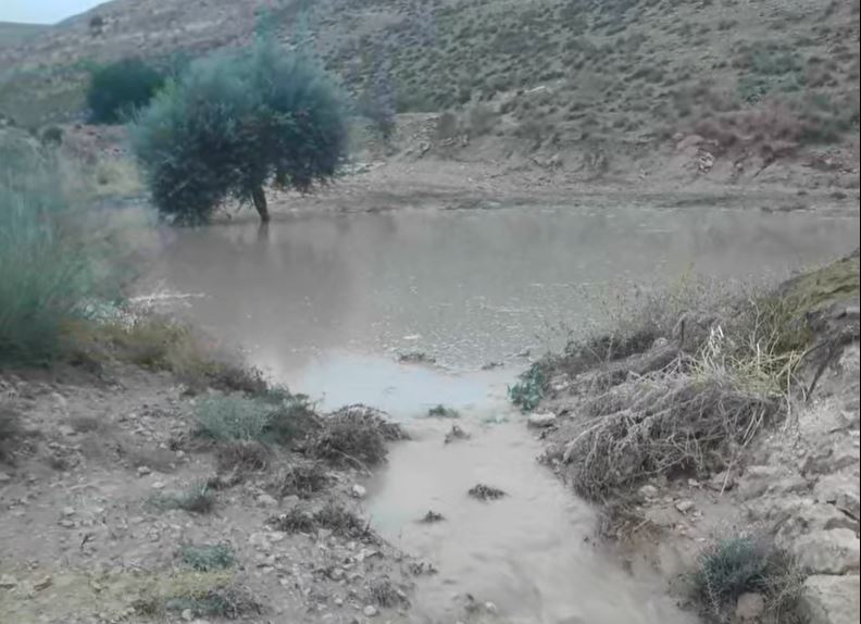 عودة الشتوية اليوم..أمطار رعدية 