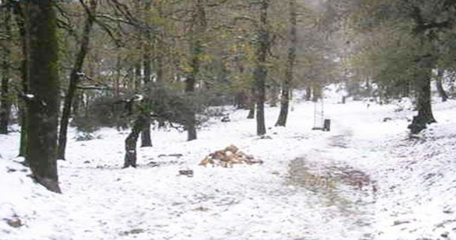 المعهد الوطني للرصد الجوي : نشرة متابعة