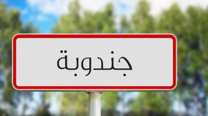 اثر زيارة سعيد  للمستشفى الجهوي بجندوبة : فروع المنظمات الوطنية تستنكر ...