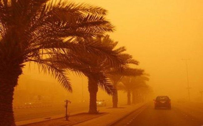 الأرصاد المصرية تحذّر من 'رياح الخماسين' و'الذباب الصحراوي'