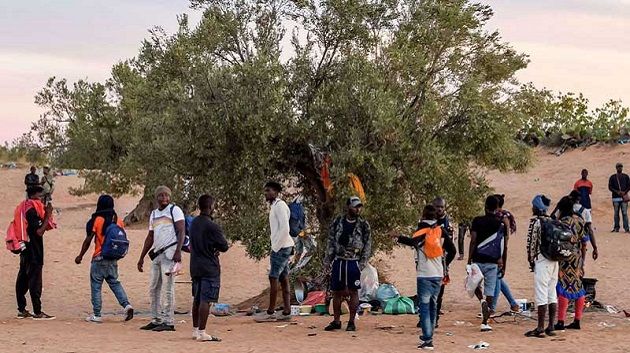 إلقاء القبض على 12 شخصا من دول إفريقيا جنوب الصحراء بغابة ببنزرت..الاسباب؟