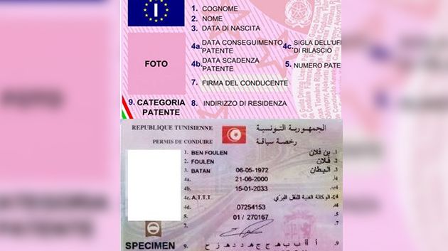 مدير عام النقل البري يكشف مستجدات عمليات استبدال رخص السياقة التونسية بنظيرتها الإيطالية