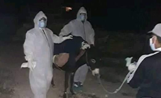 يحدث في أرياف سليانة: نقل مشتبه في إصابته بفيروس كورونا على ظهر حمار