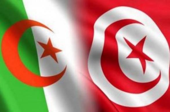 الجزائر تتدخل لمعاضدة جهود تونس في اخماد حريق بوقرنين