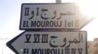 محامية