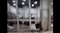 بالفيديو/