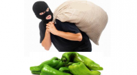 فـي