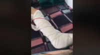 نابل