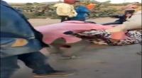 توزيع