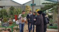  الفضاءات الخضراء والتنمية الاجتماعية الاقتصادية 
