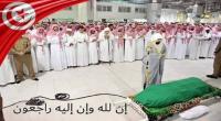 هذه