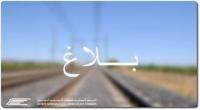 الشركة