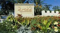 رصد