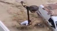 الامطار