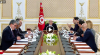 فيديو