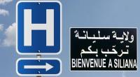سليانة